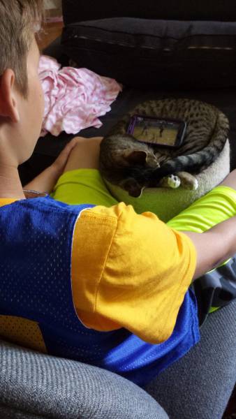 Daily Picdump [WEEKEND EDITION]