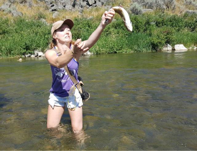 Daily Picdump [WEEKEND EDITION]