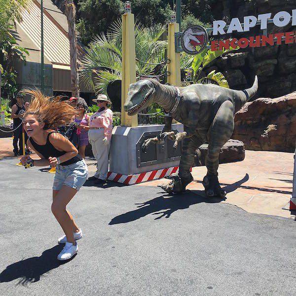 Daily Picdump [WEEKEND EDITION]