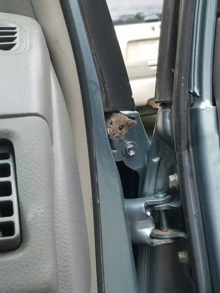 Daily Picdump [WEEKEND EDITION]