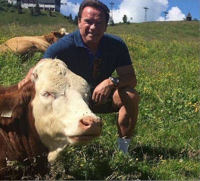 Daily Picdump [WEEKEND EDITION]