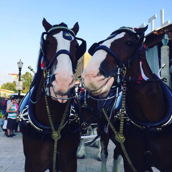 Daily Picdump [WEEKEND EDITION]