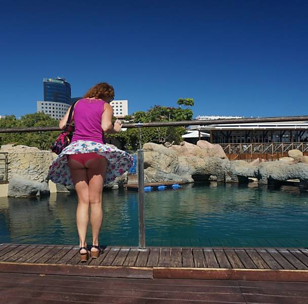 Daily Picdump [WEEKEND EDITION]