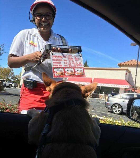 Daily Picdump [WEEKEND EDITION]