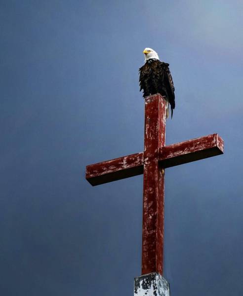 Daily Picdump [WEEKEND EDITION]