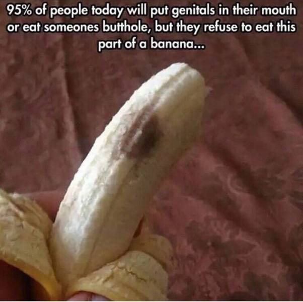 funny picdump 52 pics 4.html - 52 HD Photos | Premium Gallery 2016
