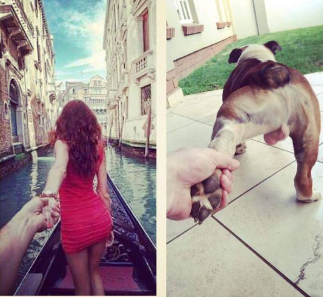 funny picdump 52 pics 4.html - 52 HD Photos | Premium Gallery 2016