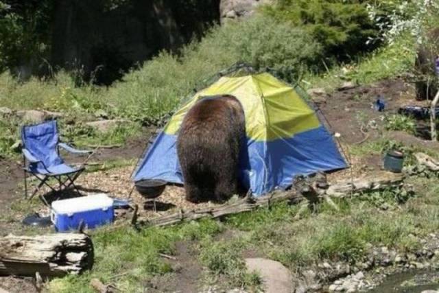 Daily Picdump