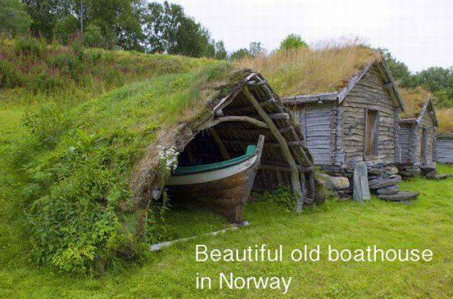 Daily Picdump
