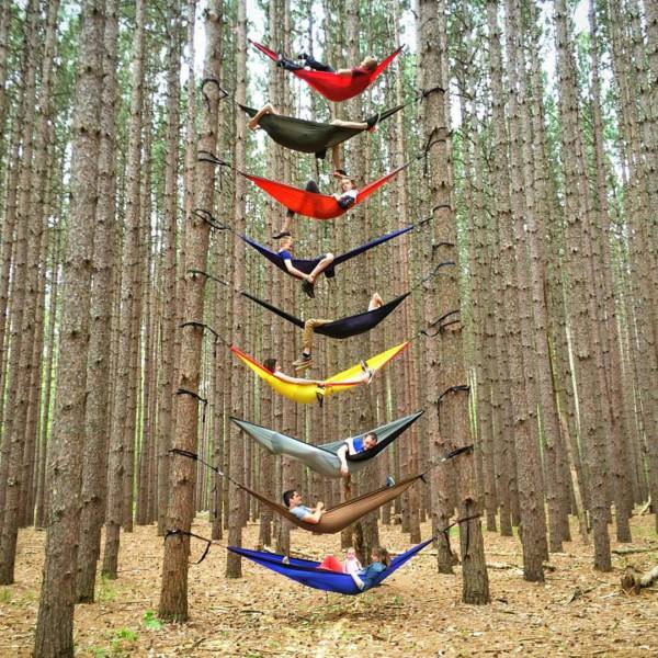 daily picdump 83 pics 29.html - 83 HD Photos | Premium Gallery 2016