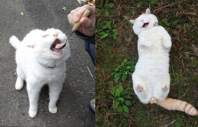 daily picdump 83 pics 29.html - 83 HD Photos | Premium Gallery 2016