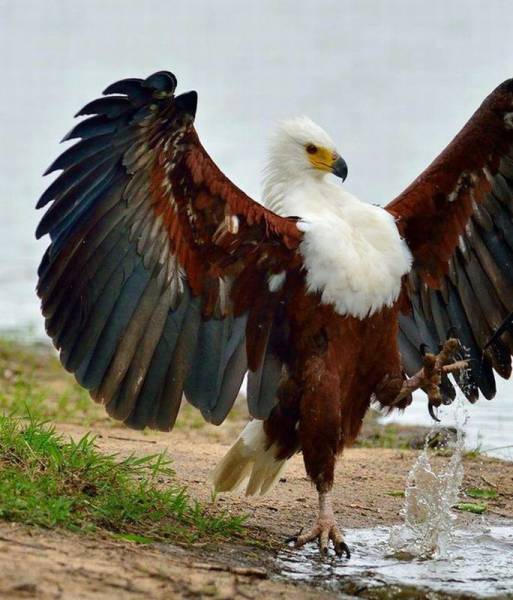daily picdump 83 pics 29.html - 83 HD Photos | Premium Gallery 2016