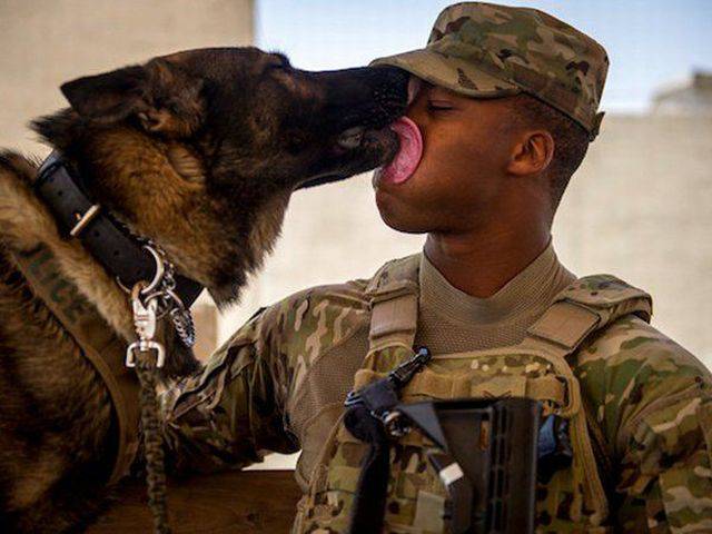 morning picdump 55 pics 19.html - 55 HD Photos | Premium Gallery 2016