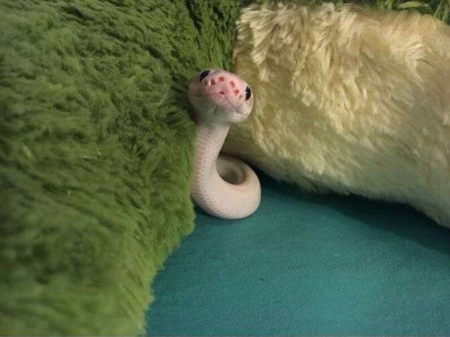 morning picdump 55 pics 19.html - 55 HD Photos | Premium Gallery 2016