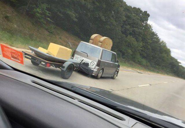 Daily Picdump