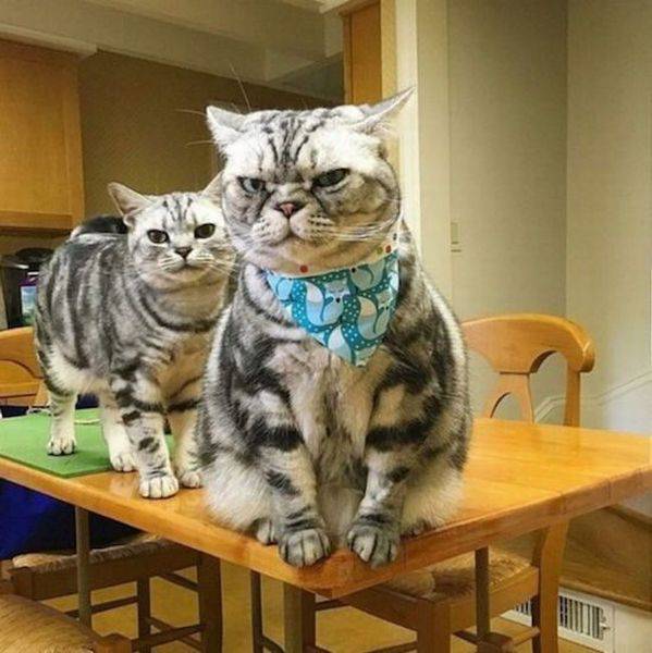 Daily Picdump