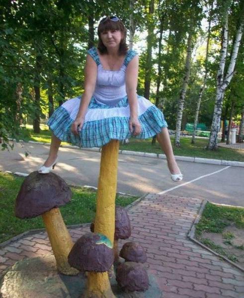 Daily Picdump