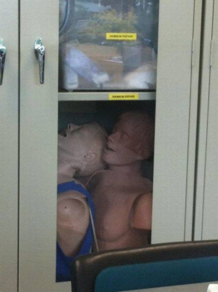 Daily Picdump
