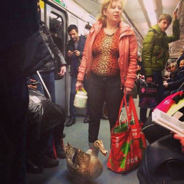 daily picdump 81 pics 35.html - 81 HD Photos | Premium Gallery 2016