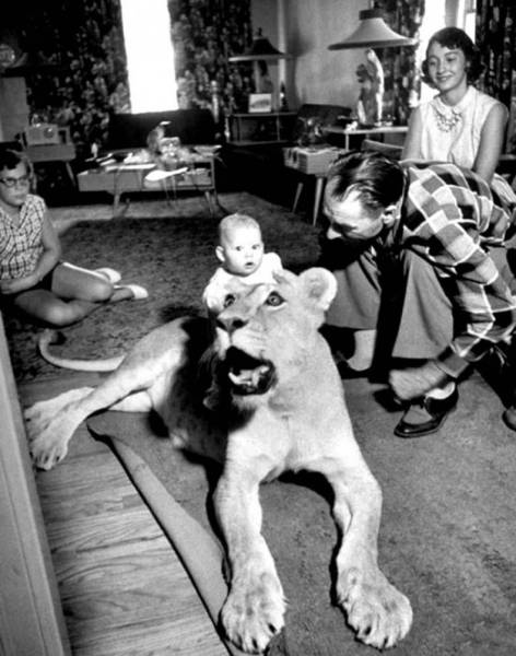 morning picdump 55 pics 7.html - 55 HD Photos | Premium Gallery 2016