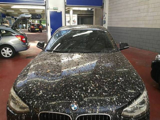 morning picdump 55 pics 7.html - 55 HD Photos | Premium Gallery 2016