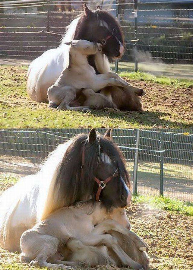 morning picdump 55 pics 7.html - 55 HD Photos | Premium Gallery 2016