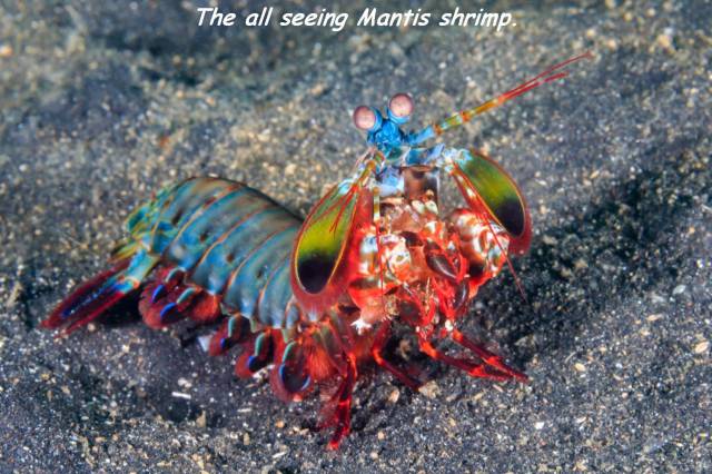 morning picdump 55 pics 22.html - 55 HD Photos | Premium Gallery 2016