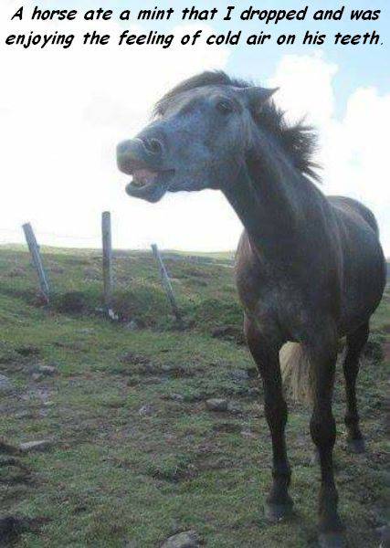 morning picdump 55 pics 22.html - 55 HD Photos | Premium Gallery 2016