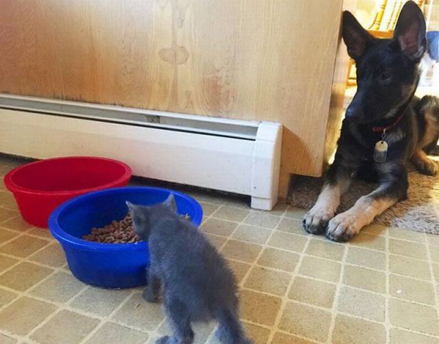 morning picdump 55 pics 22.html - 55 HD Photos | Premium Gallery 2016