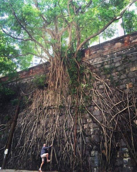 morning picdump 55 pics 22.html - 55 HD Photos | Premium Gallery 2016