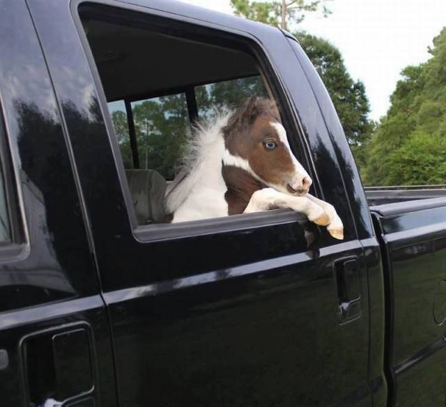 morning picdump 55 pics 22.html - 55 HD Photos | Premium Gallery 2016