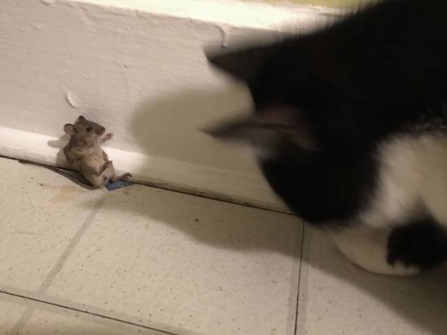 morning picdump 55 pics 22.html - 55 HD Photos | Premium Gallery 2016