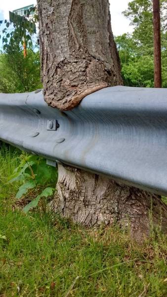 morning picdump 55 pics 22.html - 55 HD Photos | Premium Gallery 2016