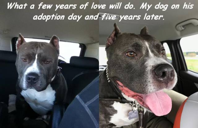 morning picdump 55 pics 22.html - 55 HD Photos | Premium Gallery 2016