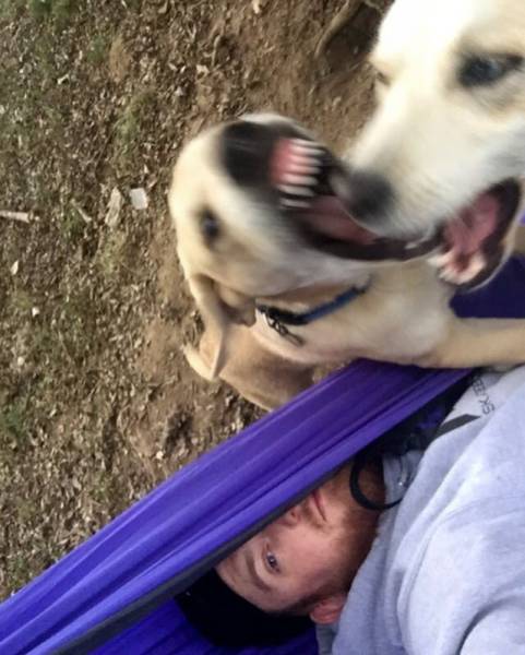 morning picdump 55 pics 22.html - 55 HD Photos | Premium Gallery 2016