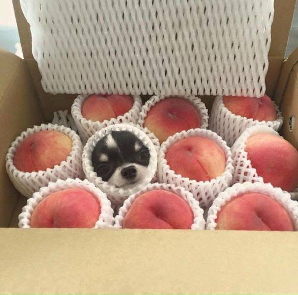 Daily Picdump [WEEKEND EDITION]