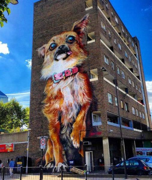 daily picdump weekend edition 75 pics 5.html - 75 HD Photos | Premium Gallery 2016