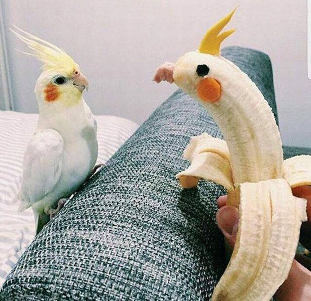 daily picdump weekend edition 75 pics 5.html - 75 HD Photos | Premium Gallery 2016