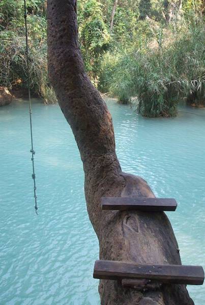 daily picdump weekend edition 75 pics 5.html - 75 HD Photos | Premium Gallery 2016