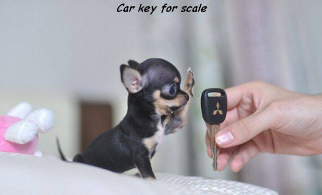 daily picdump weekend edition 75 pics 5.html - 75 HD Photos | Premium Gallery 2016