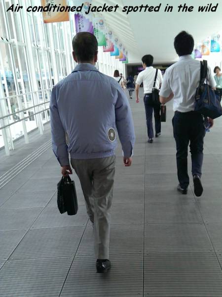 daily picdump weekend edition 75 pics 5.html - 75 HD Photos | Premium Gallery 2016