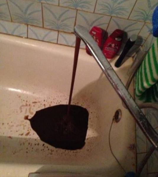 daily picdump 78 pics 21.html - 78 HD Photos | Premium Gallery 2016