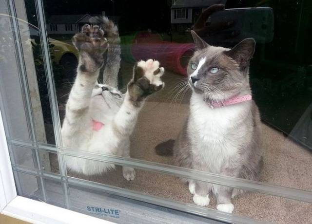 daily picdump 78 pics 21.html - 78 HD Photos | Premium Gallery 2016