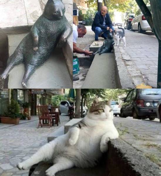 daily picdump 78 pics 21.html - 78 HD Photos | Premium Gallery 2016