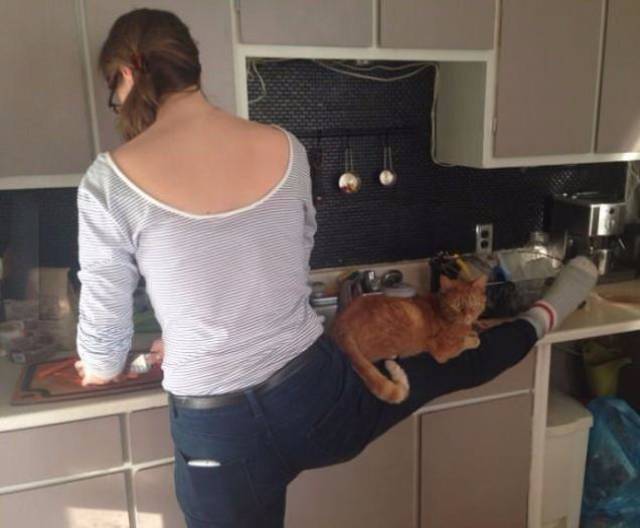 daily picdump 78 pics 21.html - 78 HD Photos | Premium Gallery 2016