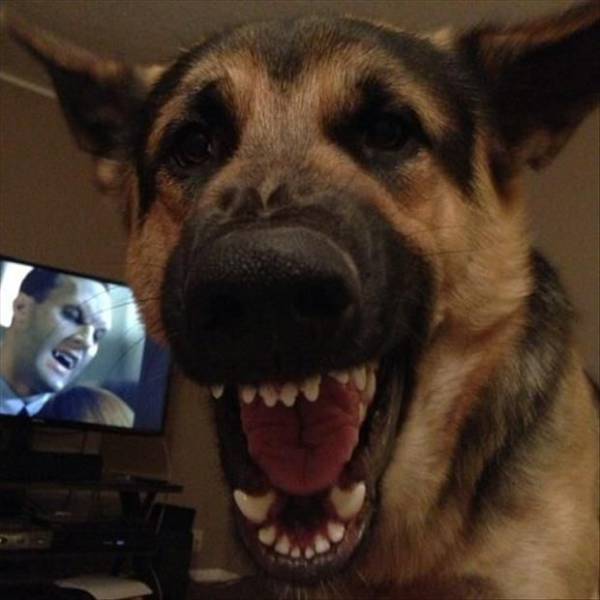 daily picdump 78 pics 21.html - 78 HD Photos | Premium Gallery 2016