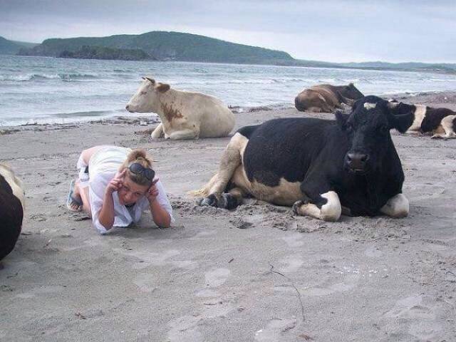 daily picdump 78 pics 21.html - 78 HD Photos | Premium Gallery 2016