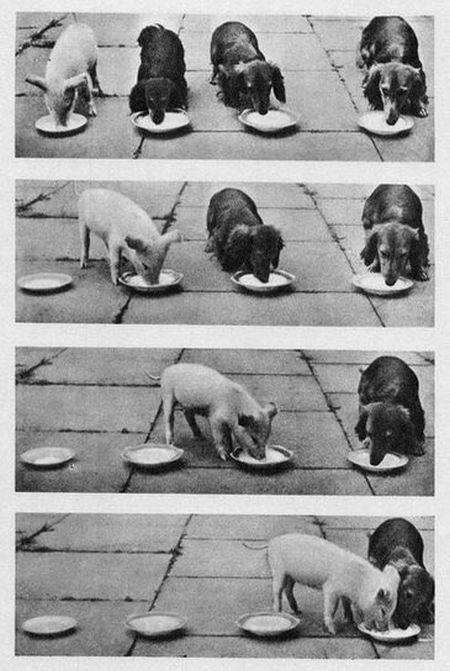 daily picdump 78 pics 21.html - 78 HD Photos | Premium Gallery 2016