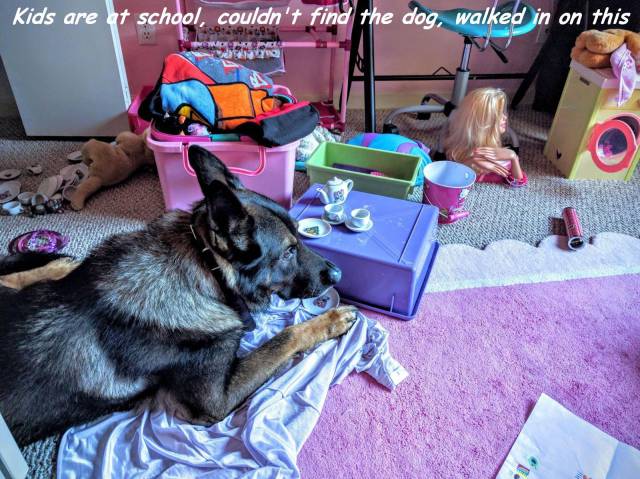 daily picdump 81 pics 38.html - 81 HD Photos | Premium Gallery 2016