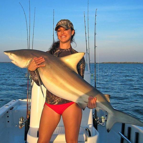 daily picdump 81 pics 38.html - 81 HD Photos | Premium Gallery 2016